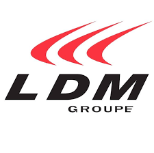 LDM