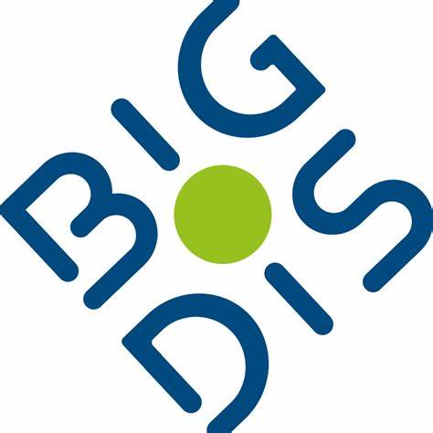 BIG DIS